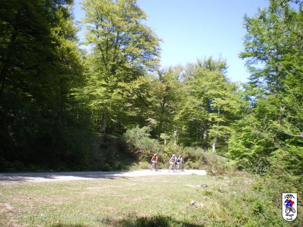 20100522164628.JPG